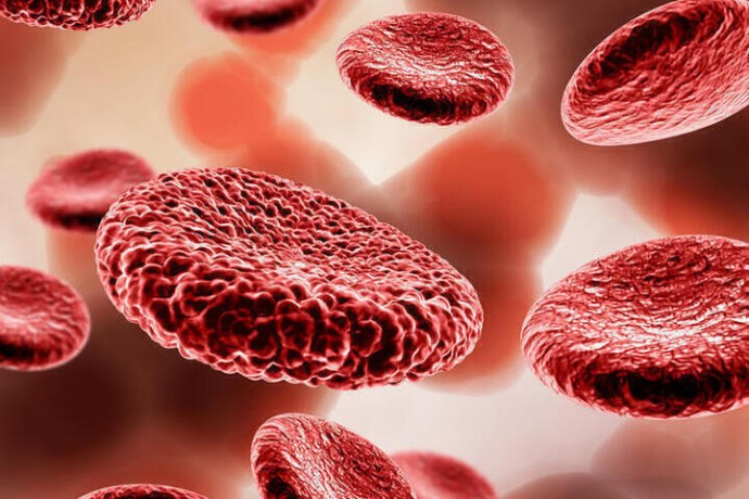 В ней часть инопланетного ДНК: Ученые определили самую уникальную группу крови