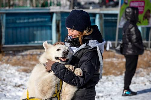 В Приамурье повышают «культуру» обращения с животными В Приамурье повышают «культуру» обращения с животными