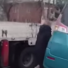 В Благовещенске на видео сняли реакцию пьяной автоледи на эвакуацию машины