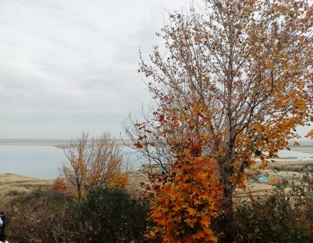 В выходные в Башкирии будет холодно, температура опустится до -7° В выходные в Башкирии будет холодно, температура опустится до -7°