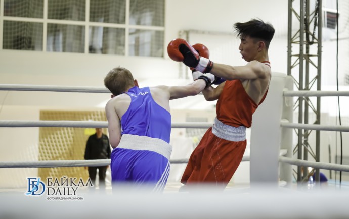 В Чите разыграют международный кубок по боксу