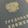 В Курской области открыто 789 новых рабочих мест с зарплатой выше 80 тысяч рублей