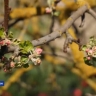 Погода в майские праздники не побалует туляков теплом и солнцем