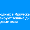 На выходных в Иркутске прогнозируют теплые дни и прохладные ночи