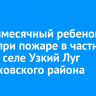 Девятимесячный ребенок погиб при пожаре в частном доме в селе Узкий Луг Черемховского района