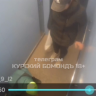 В Курске полиция проверяет мать, пнувшую своего ребёнка в лифте