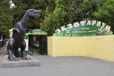 Популярностью среди обитателей экзотариума пользуются тыква, кабачок, морковь