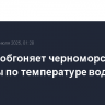 Москва обгоняет черноморские курорты по температуре воды
