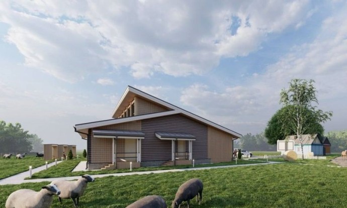 В Ярославской области откроют музеи романовской овцы и ярославской коровы