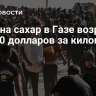 Цена на сахар в Газе возросла до 100 долларов за килограмм