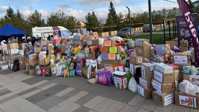 Благодаря акции «Ищу человека» в Уфе собрали рекордное количество корма