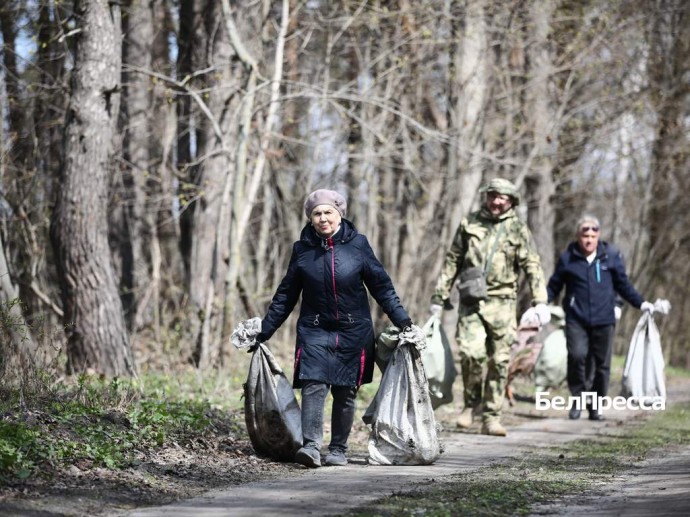 В Белгородской области с начала апреля убрали 260 свалок