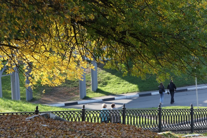 Синоптики: резкое похолодание в Ярославской области принесет мокрый снег