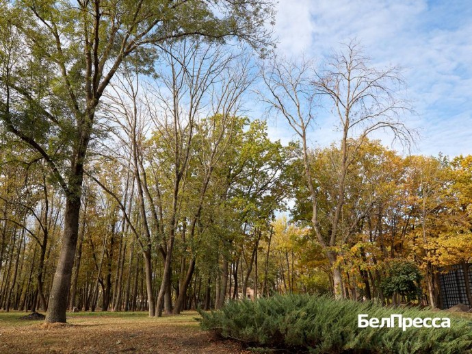 Температура воздуха в Белгородской области ночью опустится до нуля Температура воздуха в Белгородской области ночью опустится до нуля
