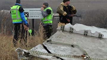 РФ не признает решение Совета ИКАО по вопросу крушения рейса МН17 — МИД