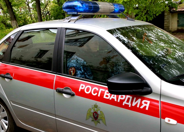 В Мордовии за неделю экипажи Росгвардии 64 раза выезжали по сигналу "Тревога"