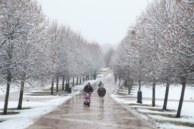 Синоптик Леус: В пятницу в Москве ожидается снег, переходящий в дождь