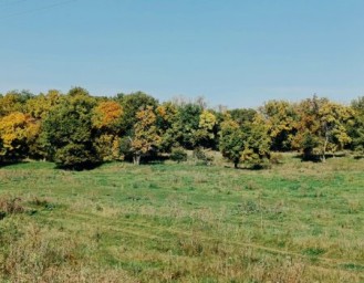 В Башкирии продолжается бабье лето