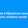 4 апреля в Иркутске начнут проводить отжиги сухой травы