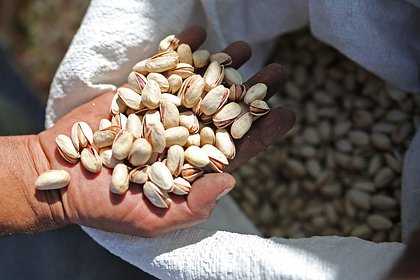 Россиянам назвали четыре защищающих от бессонницы продукта