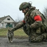 Надбавки военным назначат без лишней волокиты