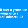 Мокрый снег и усиление ветра ожидаются в Иркутской области 12 апреля