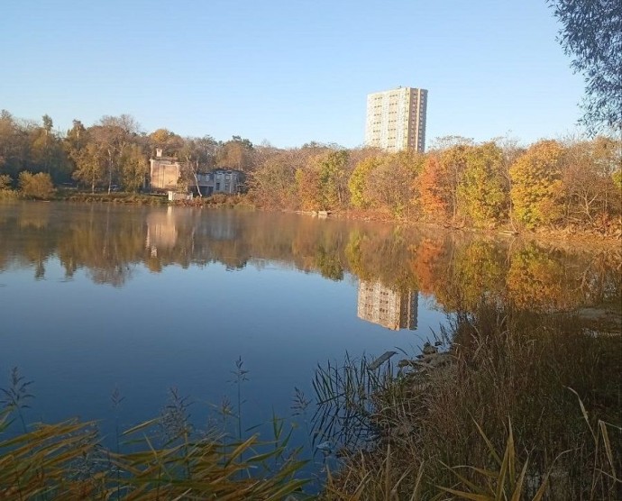 Жители Трудового обеспокоены своим озером-экобомбой Жители Трудового обеспокоены своим озером-экобомбой
