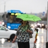 Сильный ветер сохранится в Москве в понедельник