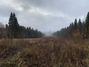 В Юсьвинском округе зафиксирован разлив нефтепродуктов