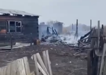 В амурском селе пал сухой травы стал причиной возгорания дворовых построек