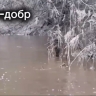 Костромская бобриха выгнала упитанного сына искать другой дом и жену