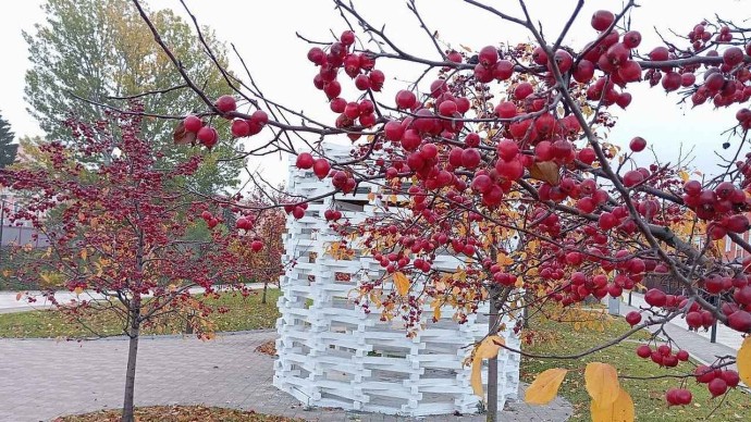 Штормовое предупреждение в Тульской области: усиление ветра до 16 м/с