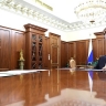 Встреча с генеральным директором Российского экспортного центра Вероникой Никишиной