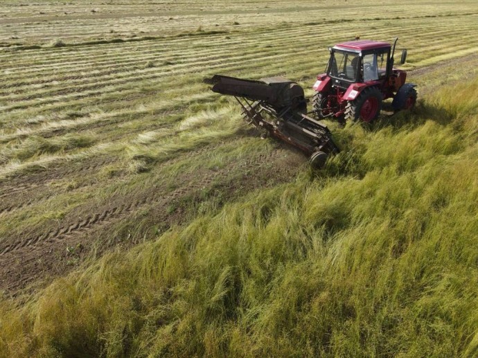 В Ярославской области успешно завершается уборочная страда