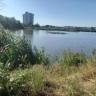 В городском пруду найден женский труп