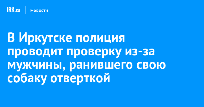 В Иркутске полиция проводит проверку из-за мужчины, ранившего свою собаку отверткой