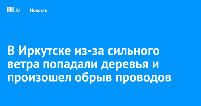 В Иркутске из-за сильного ветра попадали деревья и произошел обрыв проводов