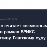 Медведев считает возможным создать в рамках БРИКС альтернативу Гаагскому суду