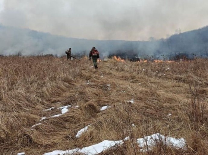 В Приморье возбуждено уголовное дело из-за мощного пожара