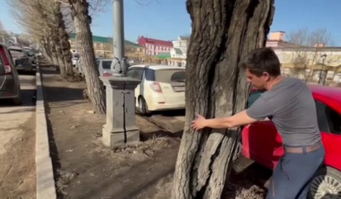 В центре Улан-Удэ избавятся от тополей