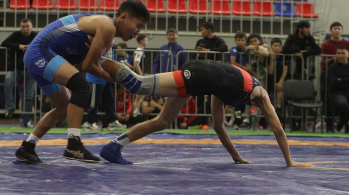 Чурапча примет турнир по вольной борьбе на призы Василия Гоголева Чурапча примет турнир по вольной борьбе на призы Василия Гоголева