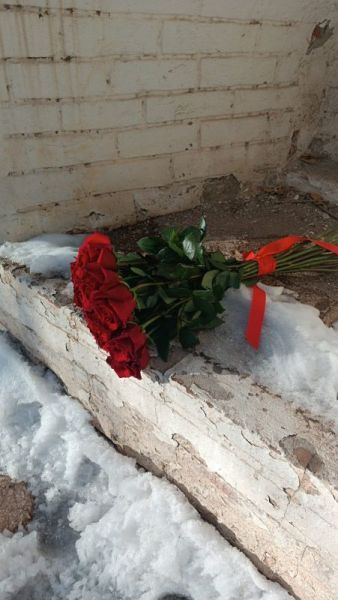 Москвич вырастил великое множество роз на своем участке и составил список самых надежных сортов