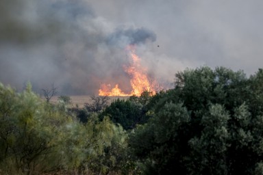 Лесное возгорание в американском штате Орегон вскоре может стать мегапожаром