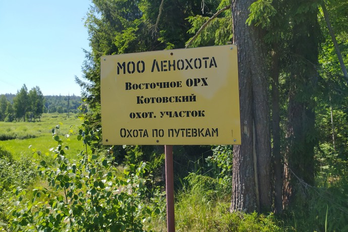 В СФ выступили за повышение охотничьих сборов с января 2026 года