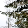В воскресенье в Кирове ожидается снег с дождем