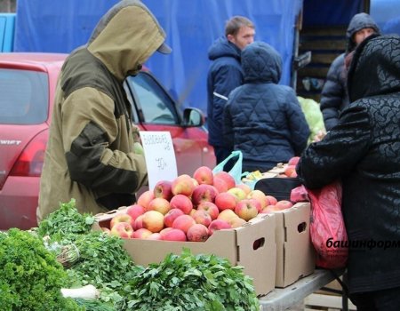 Жителей Башкирии приглашают на сельхозярмарки