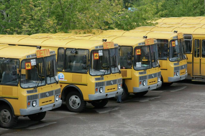 Не в ущерб безопасности: оформление групповых перевозок детей хотят упростить