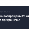 В Россию возвращены 25 жителей курского приграничья