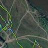 Собаки-спасатели в Башкирии создали GPS-цветок к 8 марта