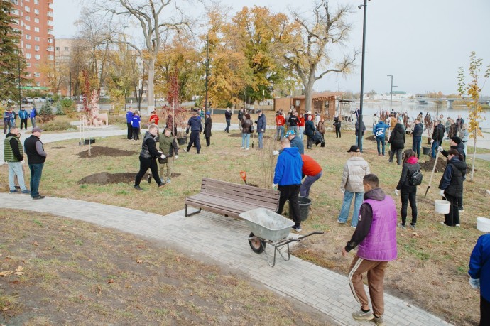 «Не прижились». УЖКХ Пензы объяснило гибель высаженных в Арбекове деревьев
